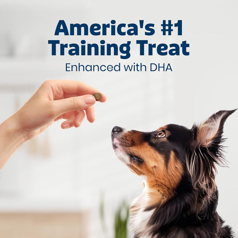 Blue Buffalo Bits Chicken Training Treats, 19 oz