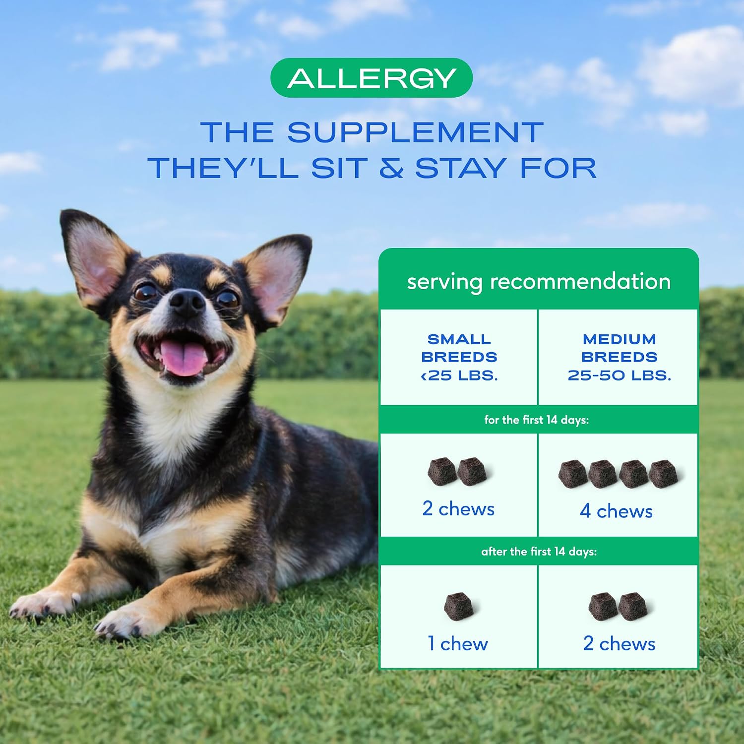 Native Pet Dog Allergy Chews for Medium Breeds - Itchy Skin and Seasonal Itch Support - Colostrum, Probiotics, Spirulina - 30 Chews