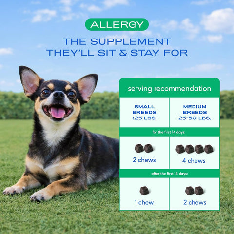 Native Pet Dog Allergy Chews for Medium Breeds - Itchy Skin and Seasonal Itch Support - Colostrum, Probiotics, Spirulina - 30 Chews