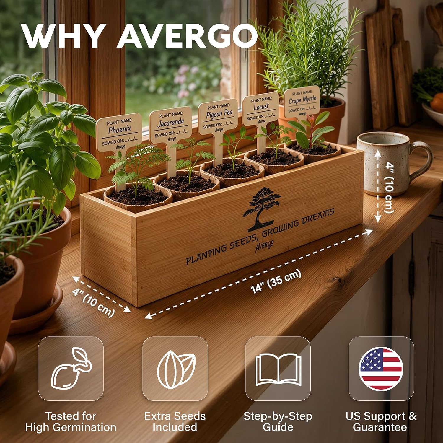 Bonsai Tree Kit Deluxe - Growing 5 Unique Japanese Bonzai Trees