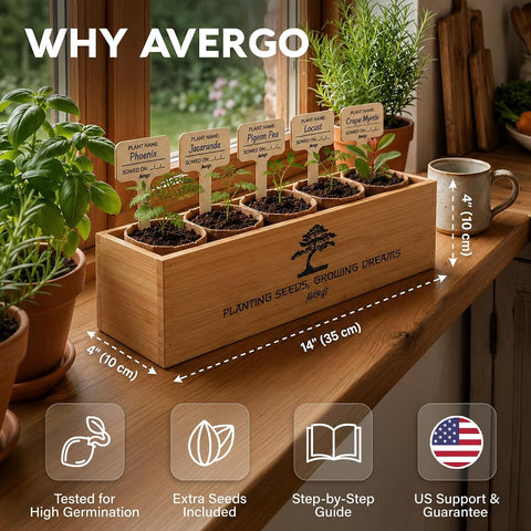 Bonsai Tree Kit Deluxe - Growing 5 Unique Japanese Bonzai Trees