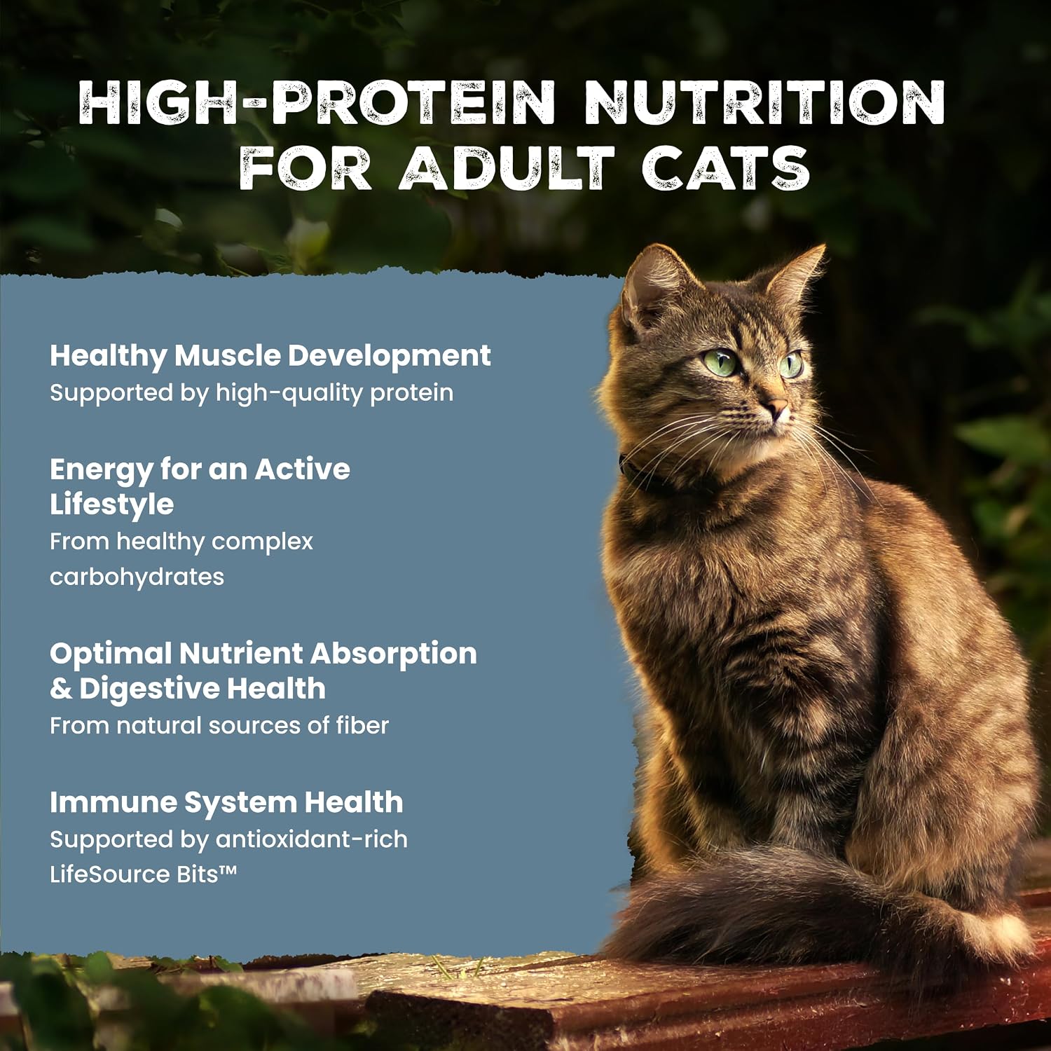 Blue Buffalo Wilderness Chicken Adult Dry Cat Food, Grain-Free, 12 lb