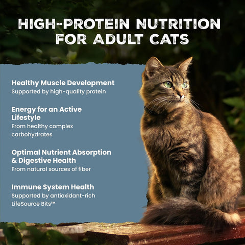 Blue Buffalo Wilderness Chicken Adult Dry Cat Food, Grain-Free, 12 lb