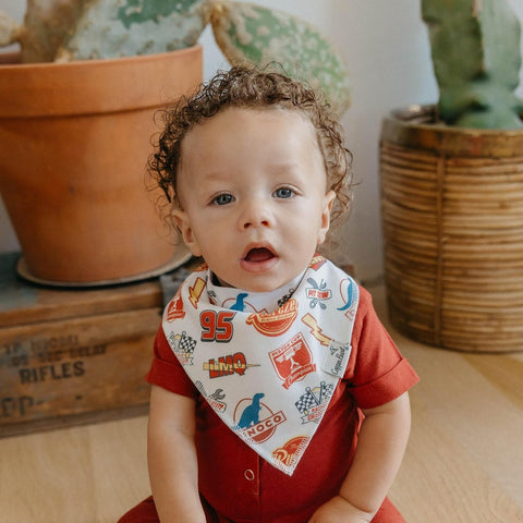 Copper Pearl Baby Bibs 4 Pack & 6 Pack, Bandana Drool Bibs for Baby Girl & Boy, Soft Cotton Bibs for Drooling and Teething