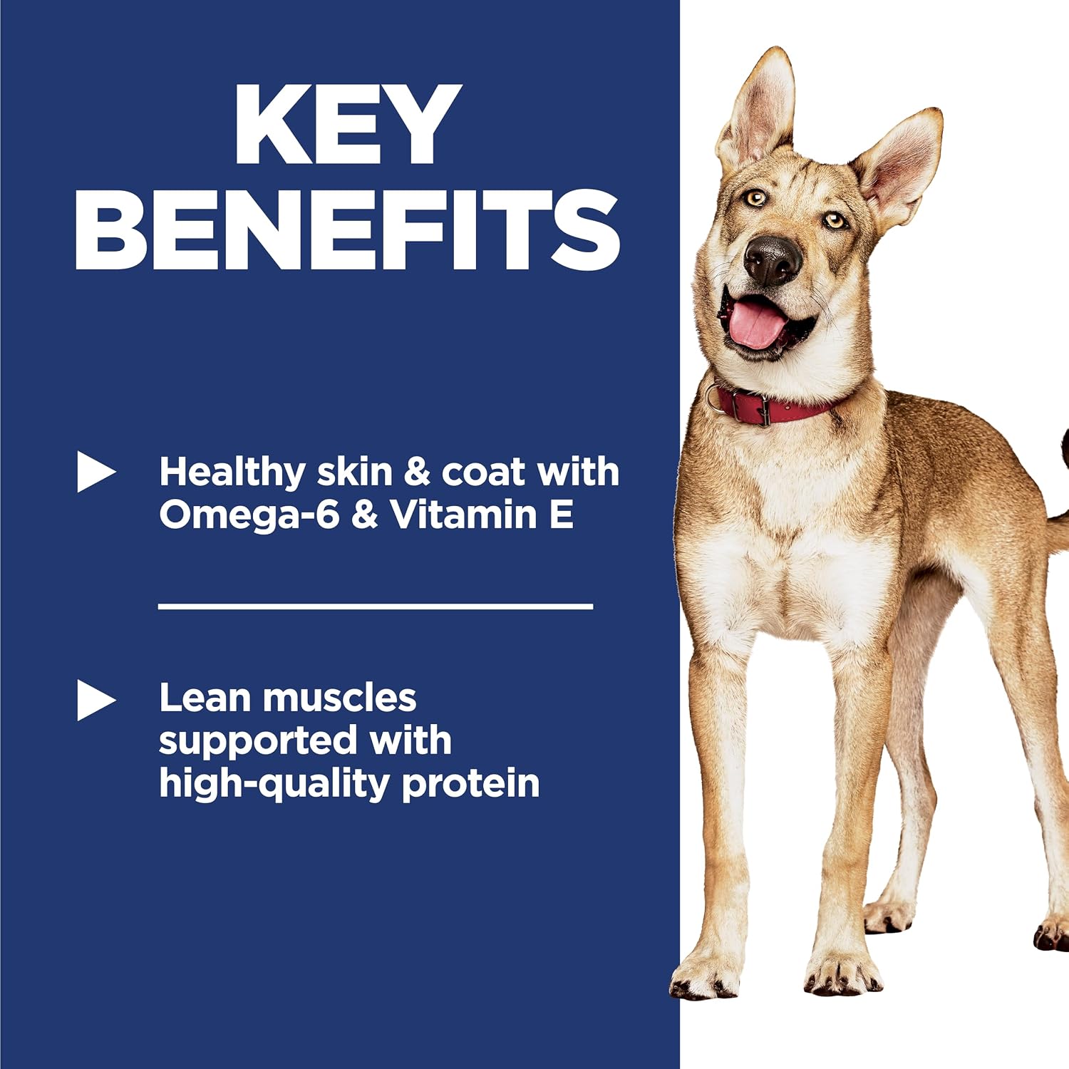 Hill's Science Diet Adult 1-6 Dry Dog Food