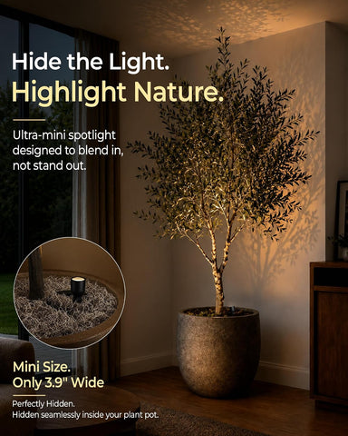 EZVALO 2-Pack Spotlight Indoor, Rechargeable Battery Picture Lights, Wireless Uplights with Remote, Dimmable, ⁠3 Color Temperatures⁠, Timer, Accent Lighting for Plants, Trees, Art, Displays