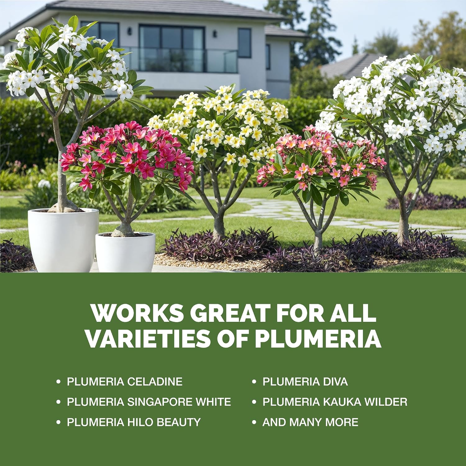 Plumeria Fertilizer – Liquid Plant Food for More Blooms & Growth, 1 Gallon