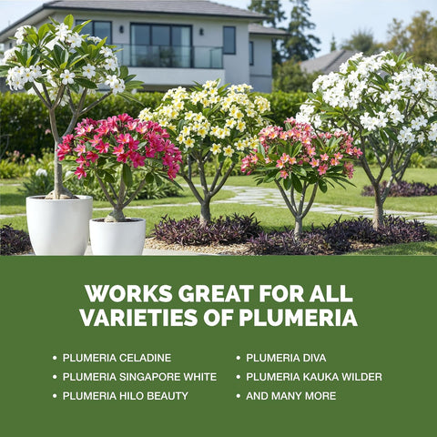 Plumeria Fertilizer – Liquid Plant Food for More Blooms & Growth, 1 Gallon