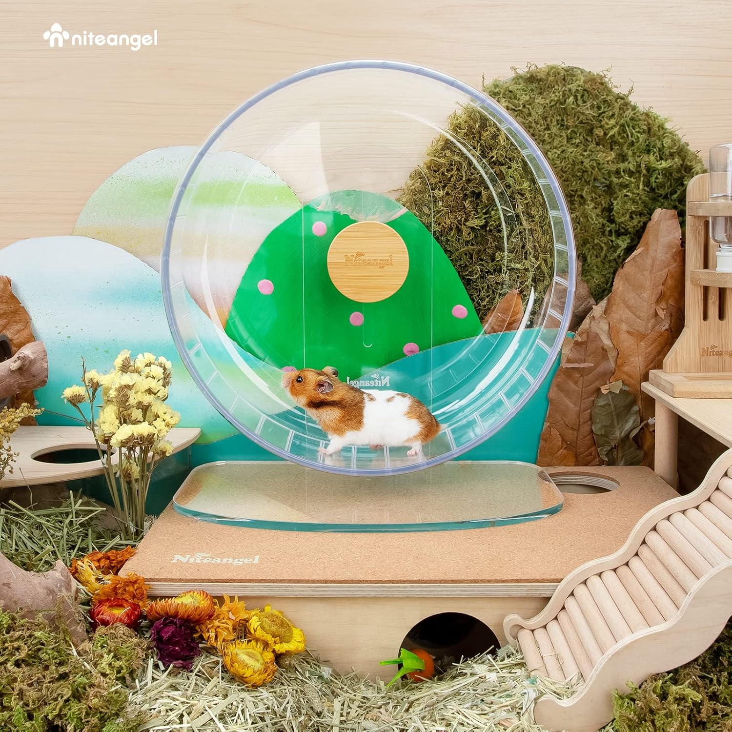 Niteangel Super-Silent Hamster Exercise Wheel: Quiet 12.8" Running Wheel