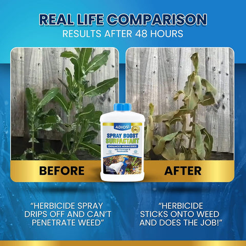 Surfactant for Herbicide and Weeds Non Ionic, Makes 25 Gallons, 8oz