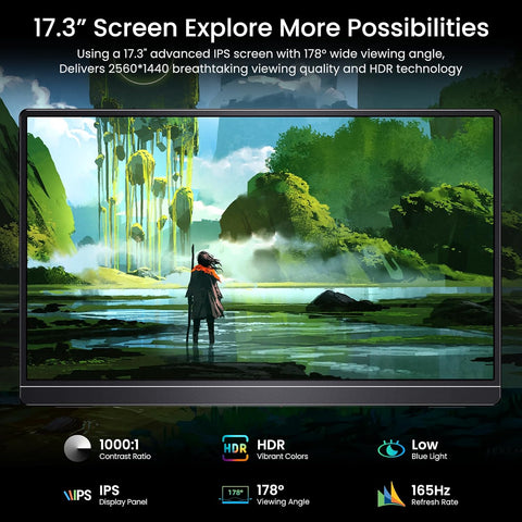 VILVA 17.3" QHD 165Hz USB-C HDMI Gaming Monitor
