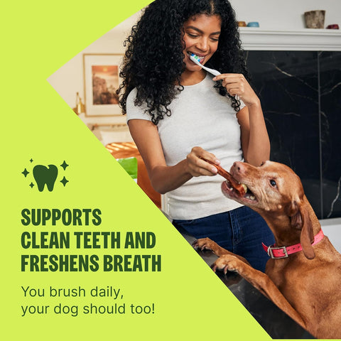 Wellness WHIMZEES Brushzees Natural Dog Dental Treat, VOHC Accepted Chews, Freshens Breath, Extra-Small Size, 4.2 oz Bag, 16 Count