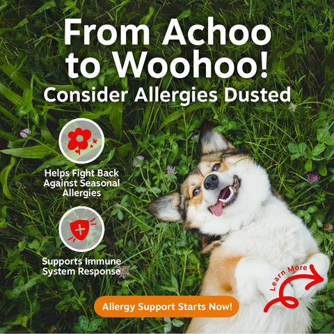 Zesty Paws Dog Allergy Chews - Dog Allergy Relief, Lamb, 90 Ct