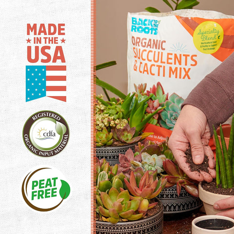 Back to the Roots 100% Organic Succulent & Cacti Mix (6 Quart) | Made in the USA | Premium Nutrition for Indoor and Outdoor Plants