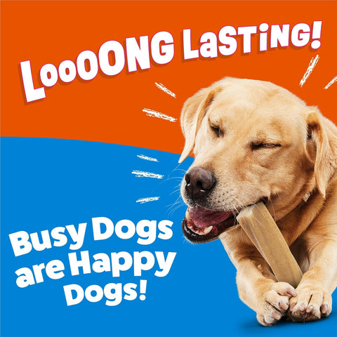 Purina Busy Bone Large Dog Chew Treats, Peanut Butter Flavor, 10 ct Pouch