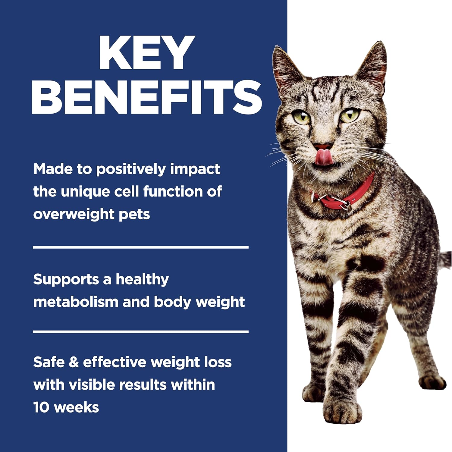 Hill's Science Diet Adult Perfect Weight Dry Cat Food