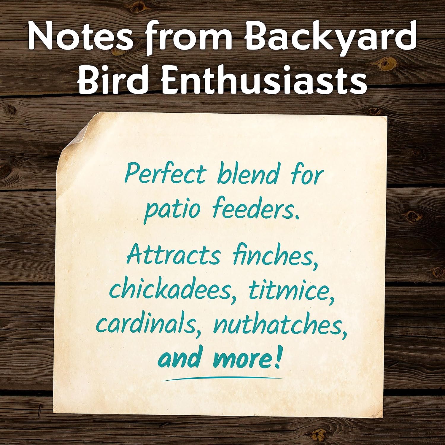 Morning Song Clean & Free No Mess Wild Bird Seed – 12 lb.