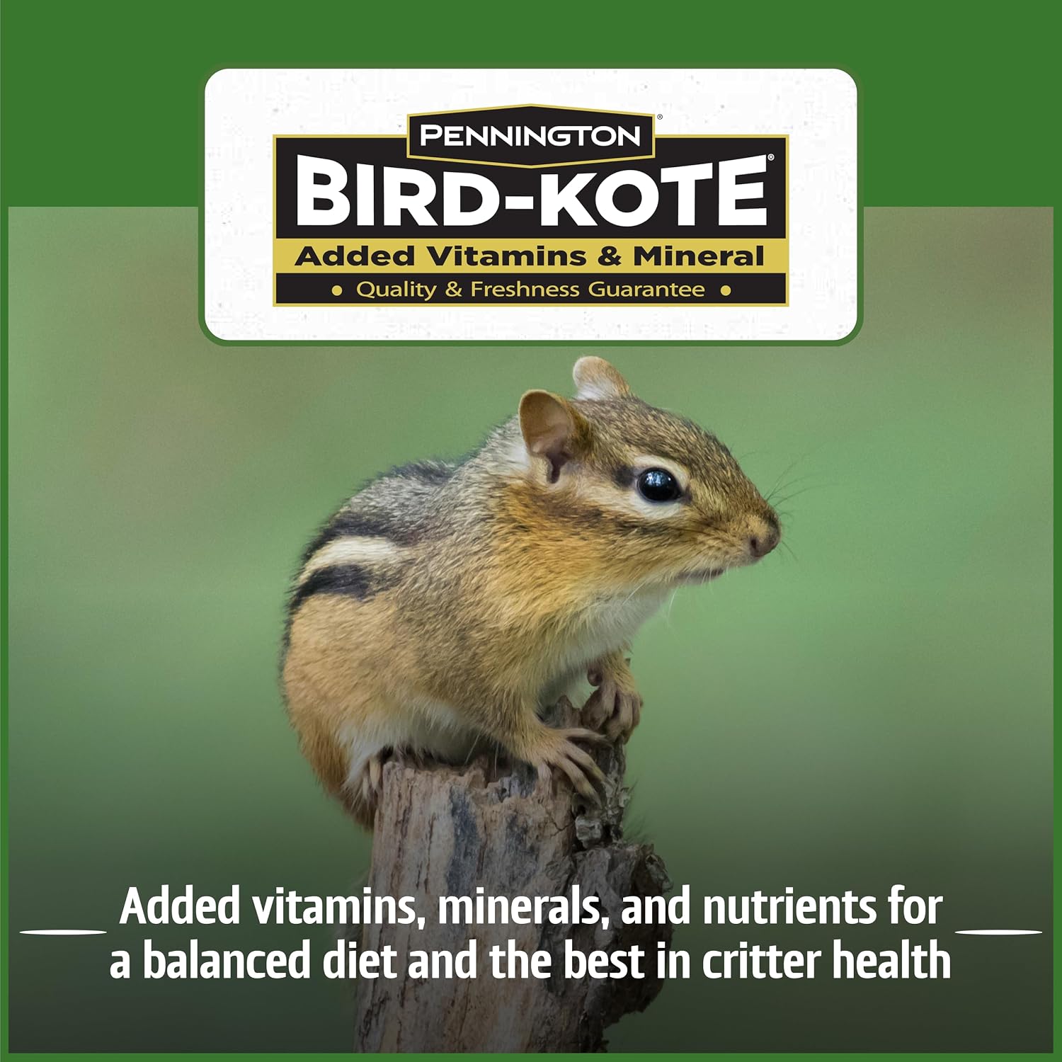 Pennington Squirrel & Critter Blend with Sunflower, Corn & in Shell Peanuts
