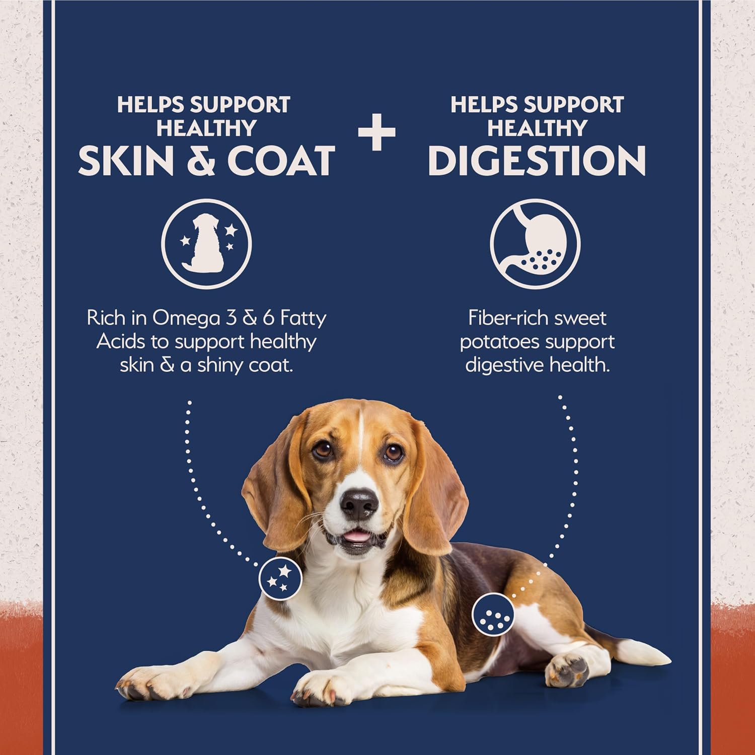 Natural Balance Limited Ingredient, Dog Food, Salmon & Sweet Potato, 24 lb