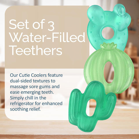 Itzy Ritzy Water-Filled Teethers for Teething Relief, Set of 3 Green Cactus