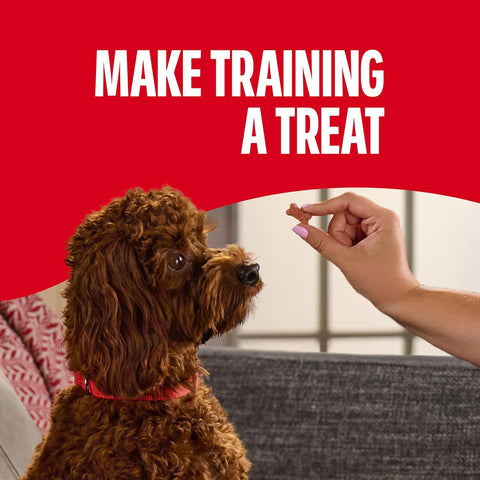 Milk-Bone Soft & Chewy Dog Training Treats, Mini Size, 18 Oz. Bag