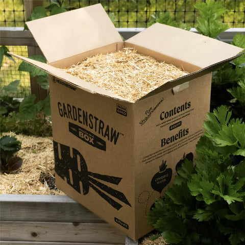 HealthiStraw GardenStraw Mulch Box, 2 cu ft (10 lb) – All-Natural, Sustainable Wheat Straw for Gardens, Lawn Seeding – Water-Conserving – Cleaned, Zero Plastic Package