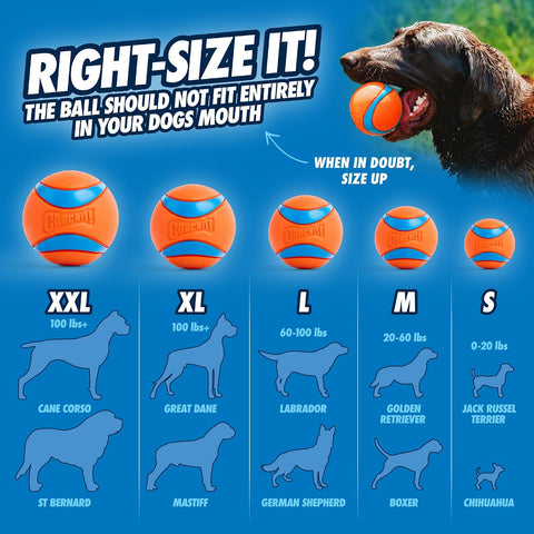 Chuckit! Ultra Ball Dog Toy, Durable Rubber, Medium 2.5-in, 2 Pack