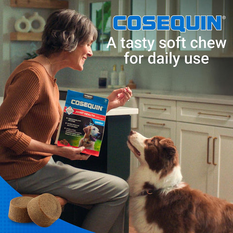 Nutramax Cosequin Dog Joint Supplement for Senior Dogs, Soft Chews, 120ct