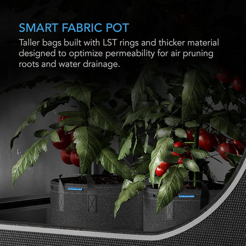 AC Infinity Heavy-Duty 500G Fabric Pots, 3 Gallon Grow Bags 5-Pack