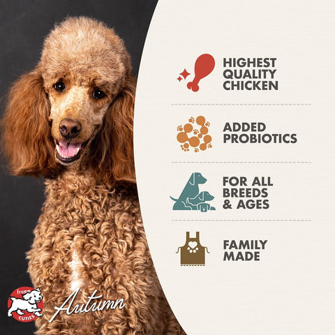 Fromm Four-Star Nutritionals Chicken au Frommage Dog Food - Premium Dry Dog Food - Chicken Recipe - 26 lb