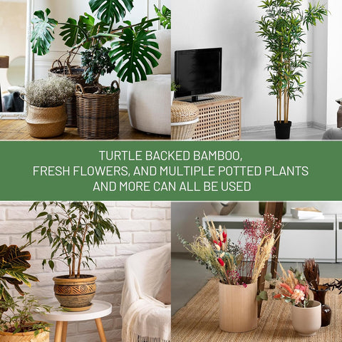 4PCS Green Iron Monstera Support, Uniquely Designed Plant Support Stakes for Indoor Plants, Stable Plant Stakes and Supports, Turtle Shell Bamboo Clamp Set for Thriving Growth