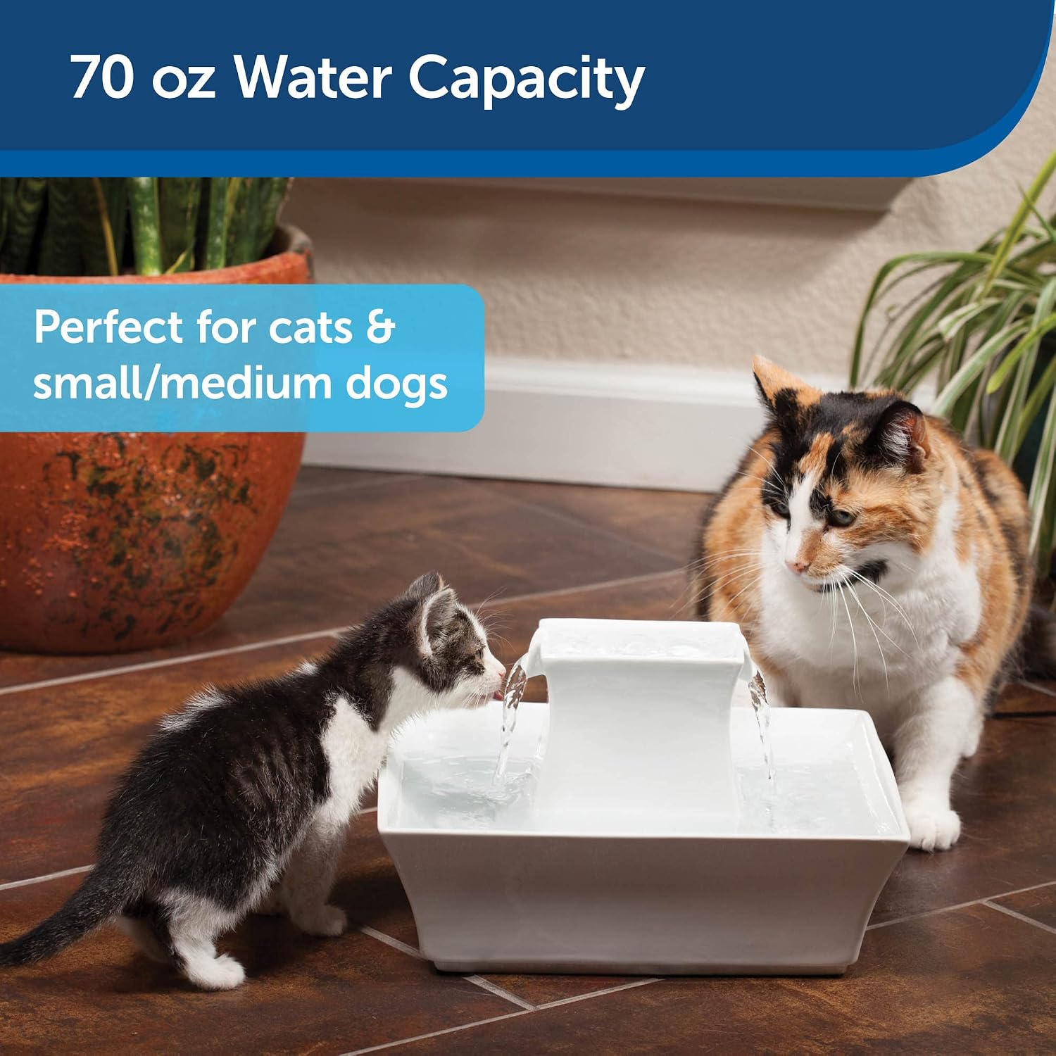 PetSafe Drinkwell Pagoda Fountain, Filters Included, 70 oz Ceramic, White
