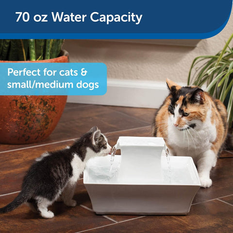 PetSafe Drinkwell Pagoda Fountain, Filters Included, 70 oz Ceramic, White
