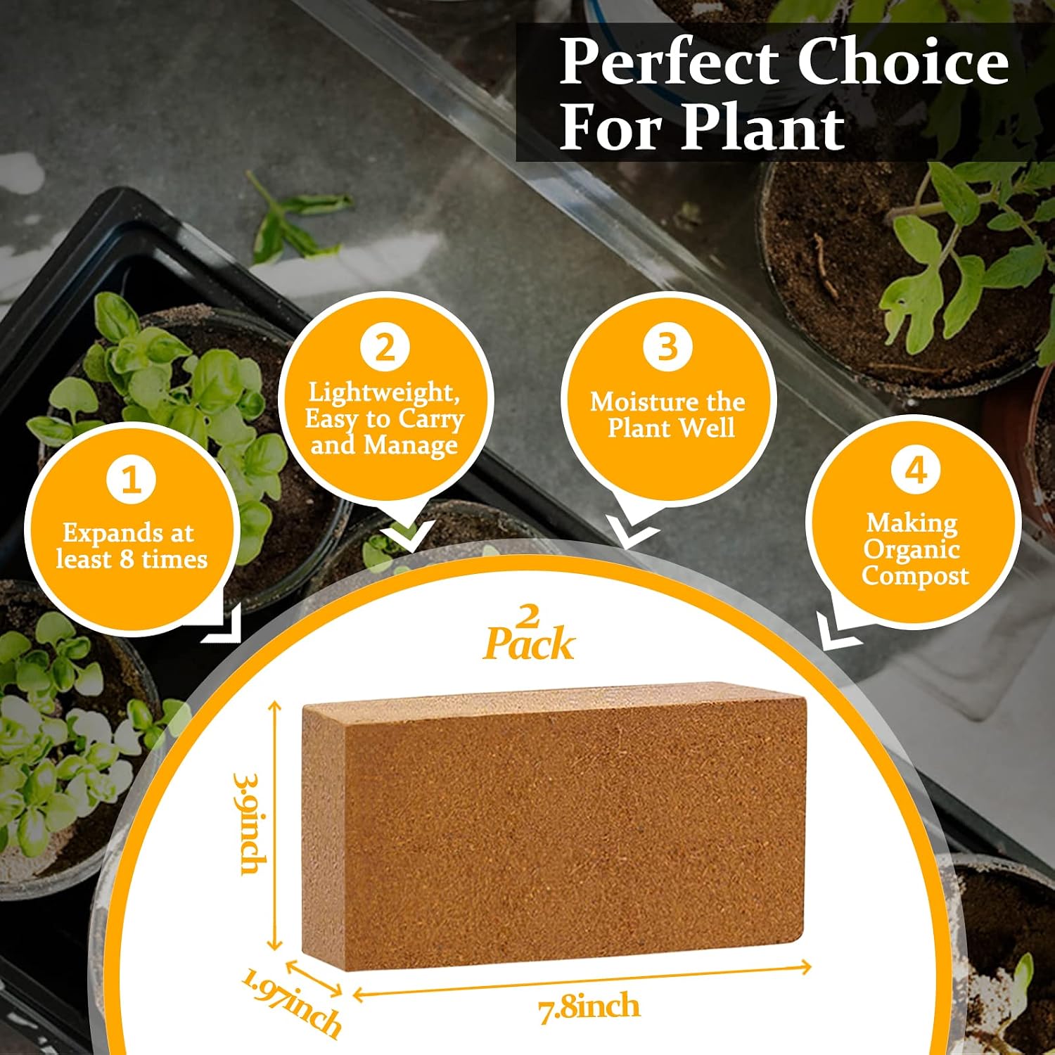 Riare 2pcs Organic Coco Coir Bricks, Natural Coconut Coir for Plants