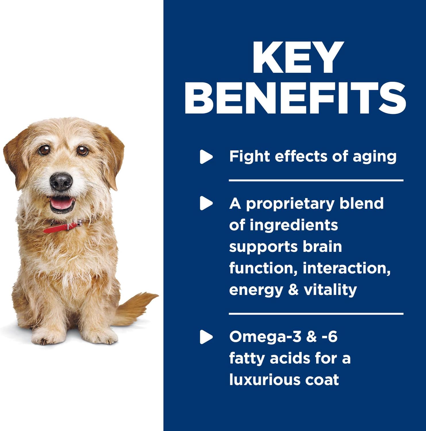 Hill's Science Diet Adult 7+ Senior Vitality Small & Mini Wet Dog Food