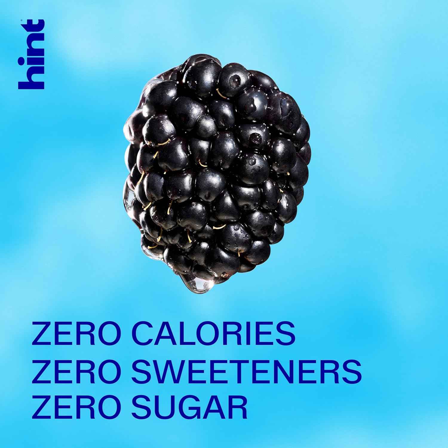 Hint Fruit-Infused Bottled Water, Blackberry - Sugar Free Flavored Water with Zero Calories, Natural Fruit Essences, and No Artificial Sweeteners - 16 Fl Oz (Pack of 12)