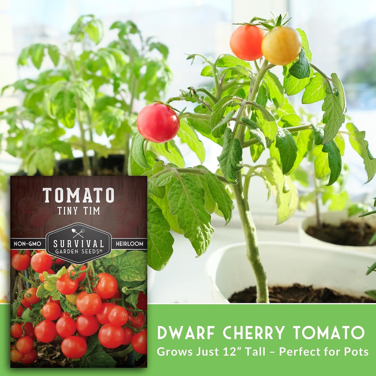 Tiny Tim Tomato Seeds - Survival Garden Seeds (3 Pack)
