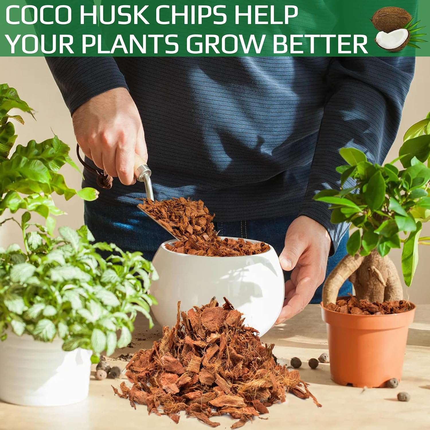 Halatool 2 Pcs Coco Husk Chips for Plants - 2.2 LB 100% Organic Coconut Coir Chips with Low EC and pH Balanced, Compressed Coco Substrate Growing Mulch Medium for Landscaping, Herbs, Plants, Flowers