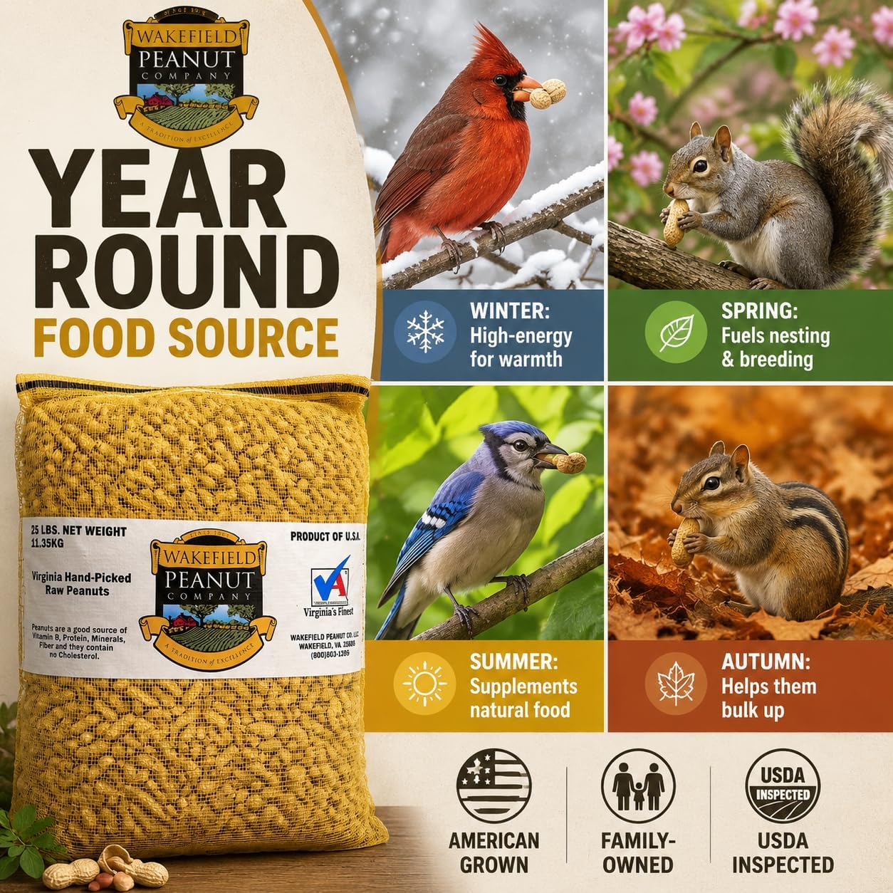 Wakefield Premium Virginia Peanuts in-Shell for Squirrels, Blue Jays & Wildlife - 6 LB Bag - Hand-Picked, Raw, Unsalted, High Protein Wild Bird & Animal Feed