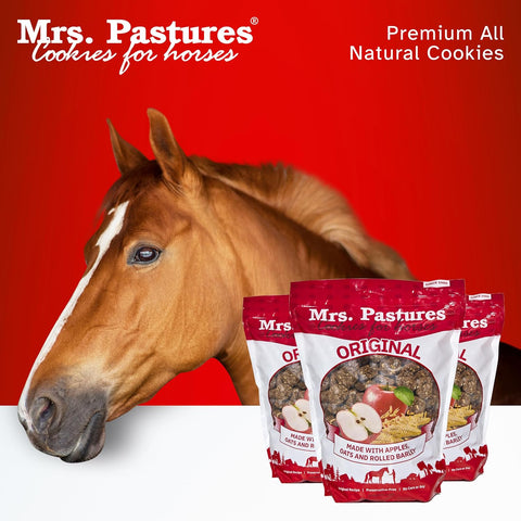 Mrs Pastures Cookies and Treats for Horses - Premium Horse Treats - Made with Apples, Oats, and Rolled Barley - Preservative Free - All Natural Ingredients - No Corn or Soy (15lb Bucket)