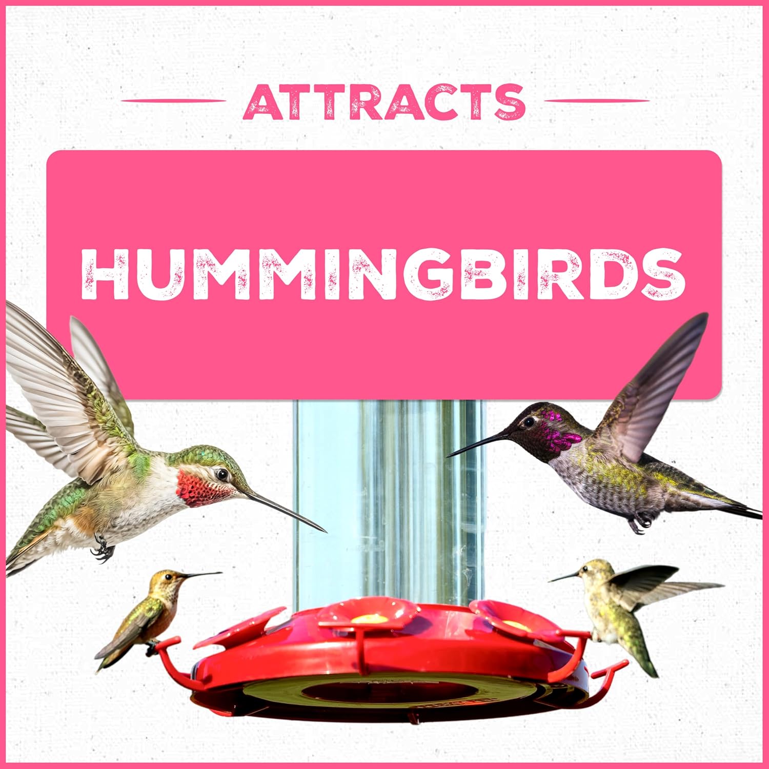 Pennington Electro-Nectar Hummingbird Nectar Ready to Use 64-Oz Bottle