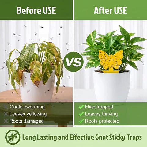 40 Pack Fungus Gnat Traps, Yellow Sticky Fruit Fly Traps for Indoor Plants