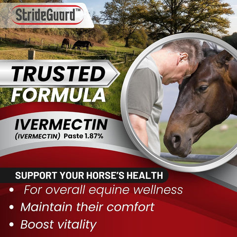 Horse Ivermectin Paste 1.87% – Apple Flavored Oral Horse Dewormer Syringe – 6.08g Tube Treats Horses Up to 1,250 lbs [Pack-1]