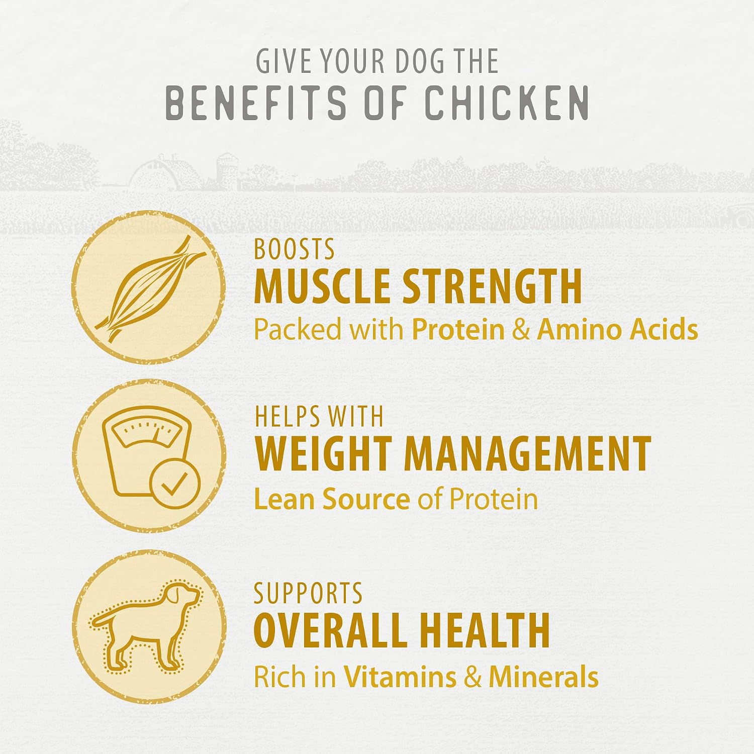 Caledon Farms Chicken Morsels Dog Treats: 125G/4.4OZ (Pack of 4)