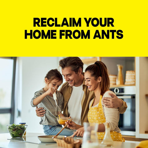 Raid Ant Killer Baits, Indoor Ant Control, Child Resistant, 8 Count