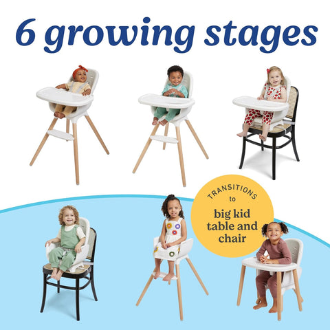 Graco Table2Table Lux 6-in-1 Convertible Highchair, Rhodes