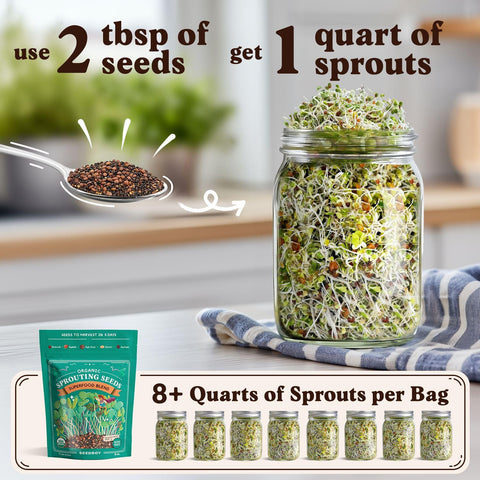 Seedboy Organic Non-GMO Sprouting Seeds (Superfood Blend)