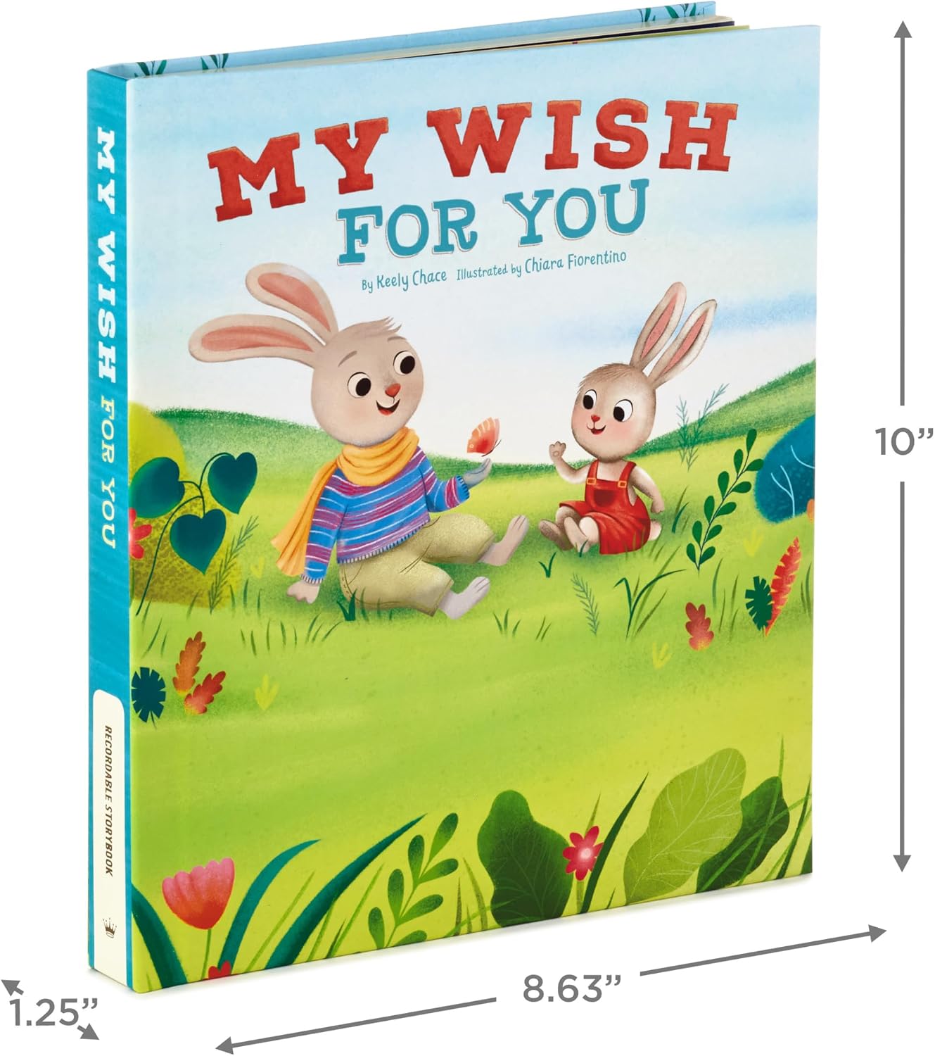 Hallmark Recordable Book for Children (My Wish for You)