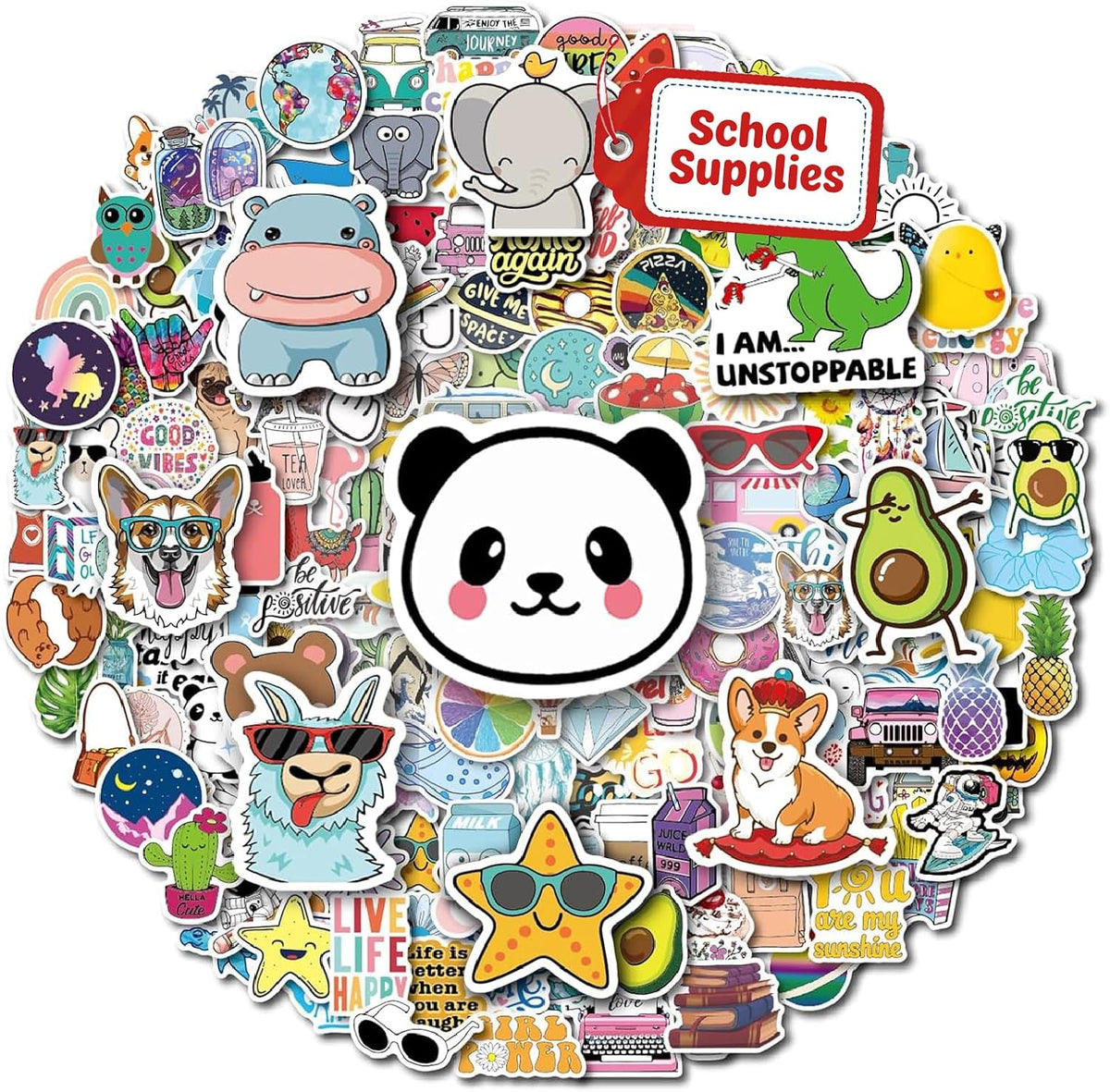 200Pcs Water Bottle Stickers for Kids Teens, Waterproof Vinyl Stickers