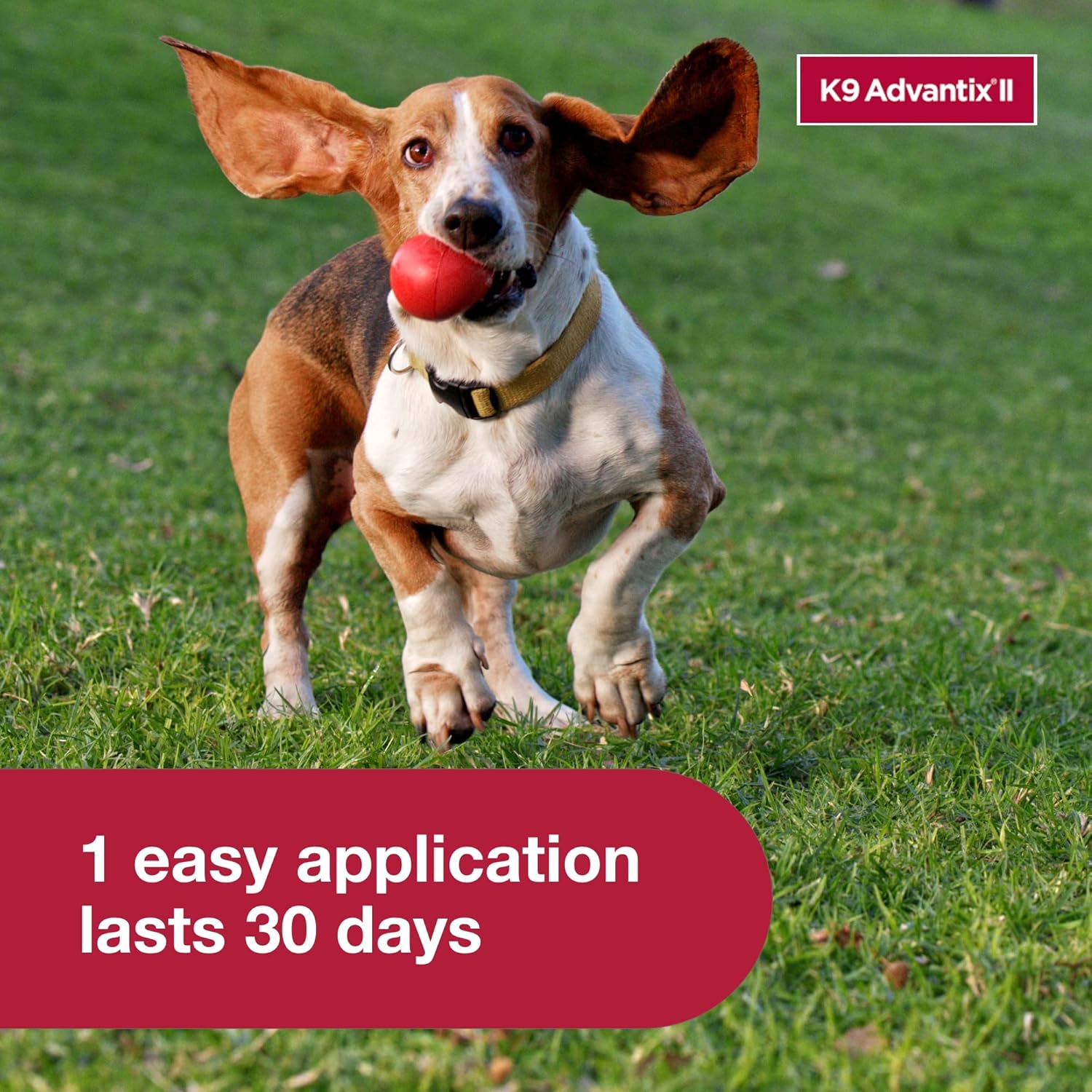 K9 Advantix II Flea & Tick Topical for Small Dogs 4–10 lbs., 6ct